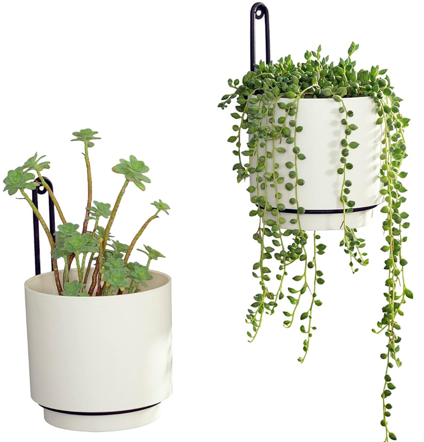 The Halo Edge Wall Planter Set
