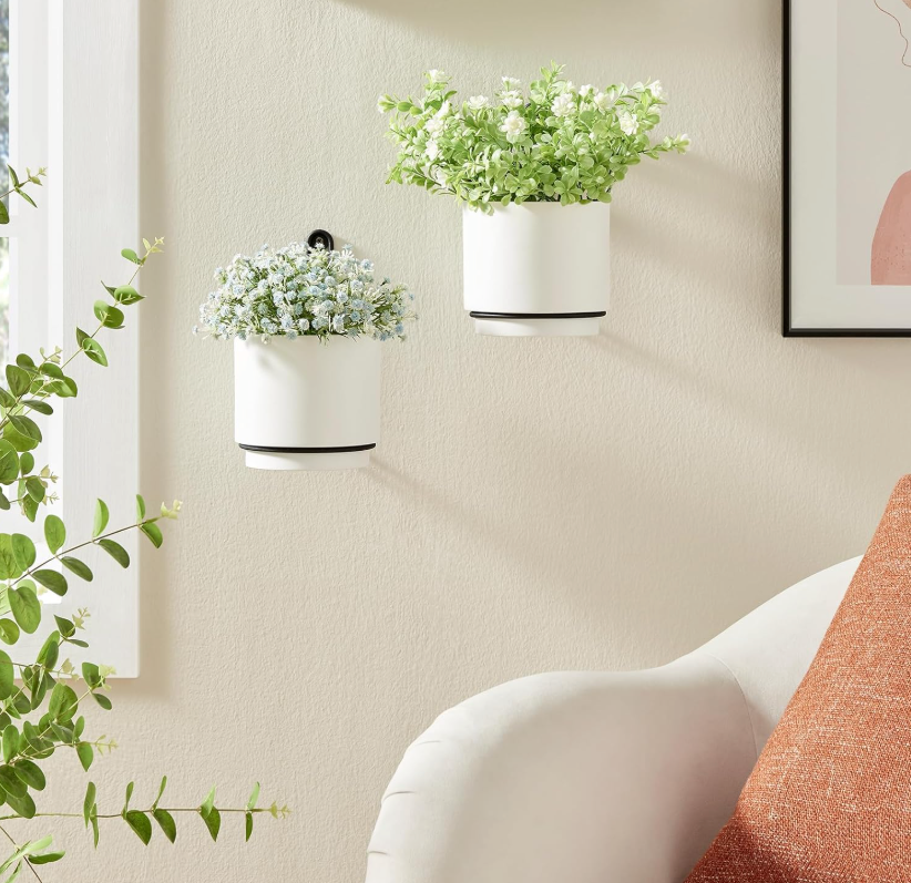 The Halo Edge Wall Planter Set