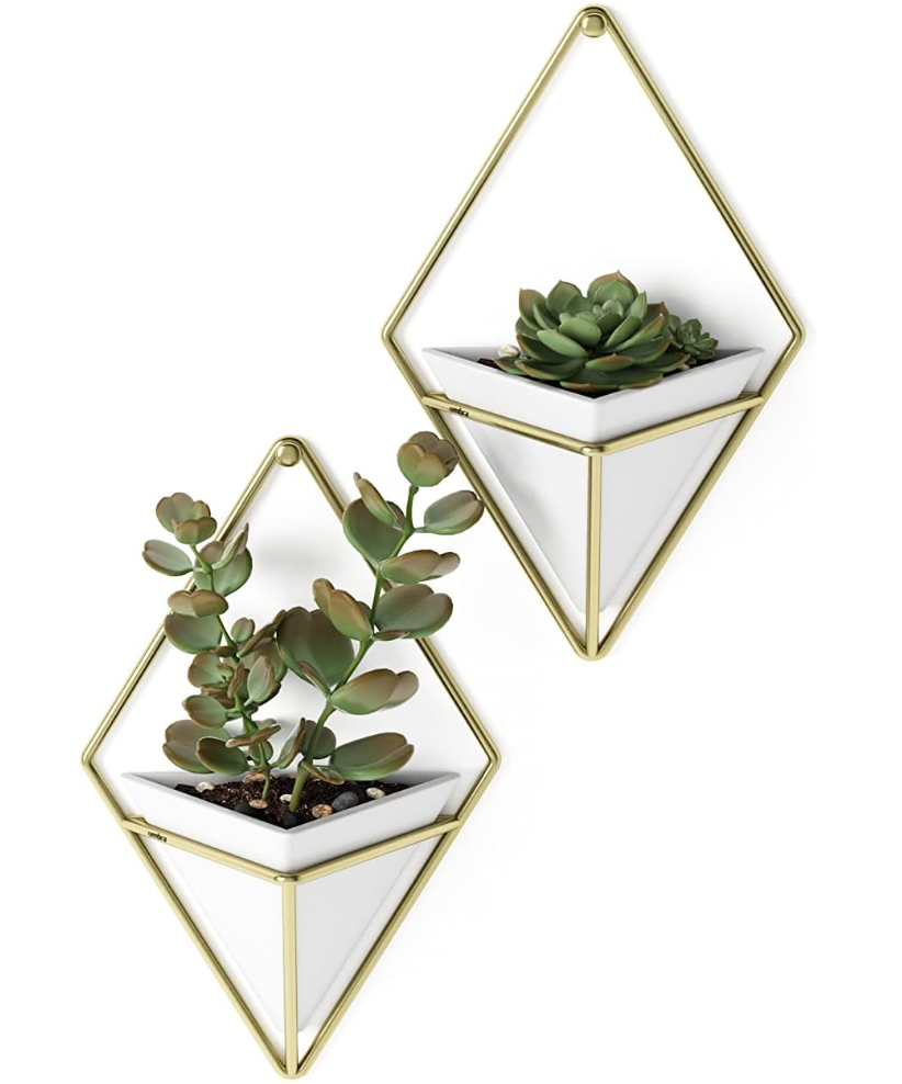 The Prism Vessel Wall Planters — Set of Two