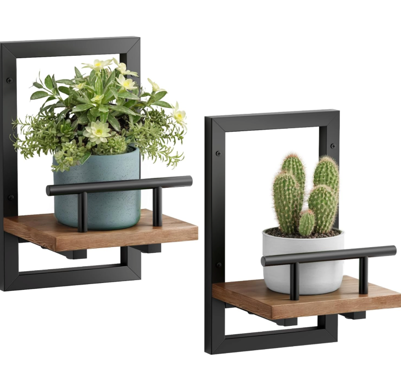 The Framework Perch Wall Planters — Set of Two