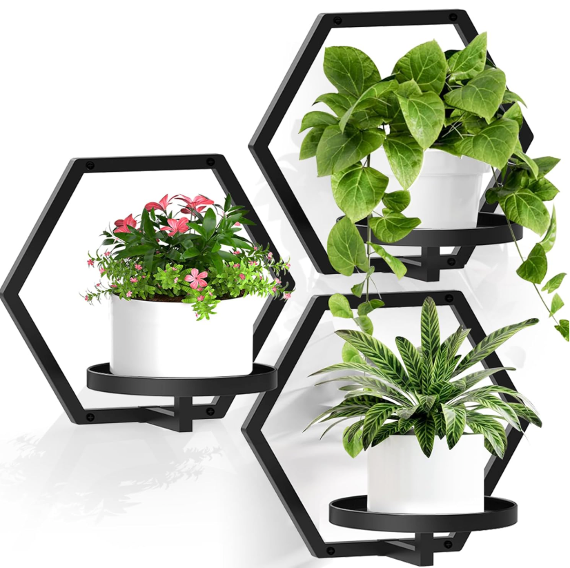 The HexaNest Wall Planter Set