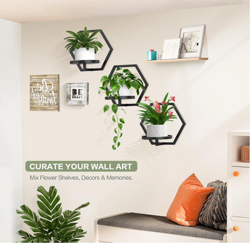 The HexaNest Wall Planter Set