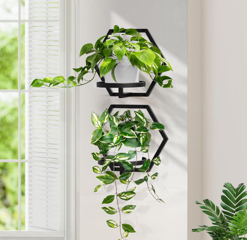 The HexaNest Wall Planter Set