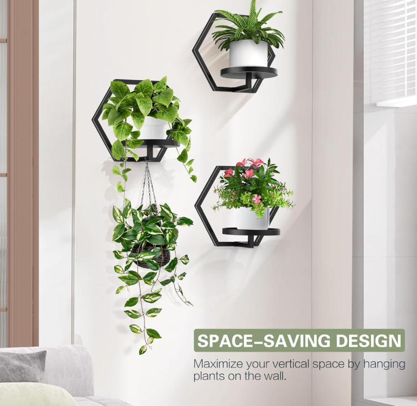 The HexaNest Wall Planter Set
