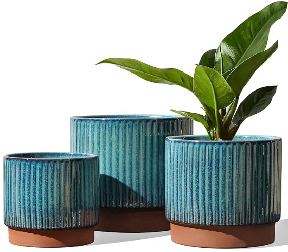 The Meridian Grove Planter Set