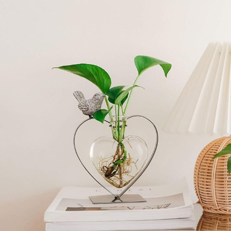 Heart & Songbird Propagation Vase