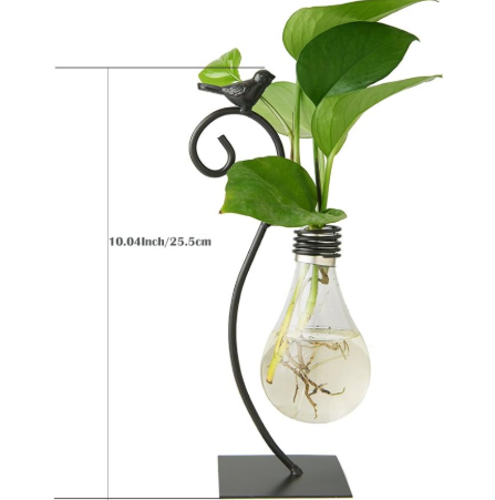 Birdsong Bulb Propagation Stand