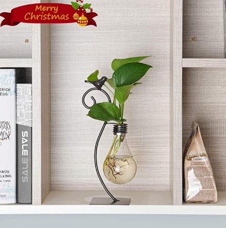 Birdsong Bulb Propagation Stand