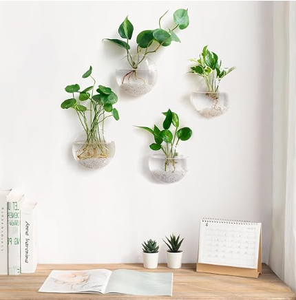 Glass Wall Propagation Bowl Set