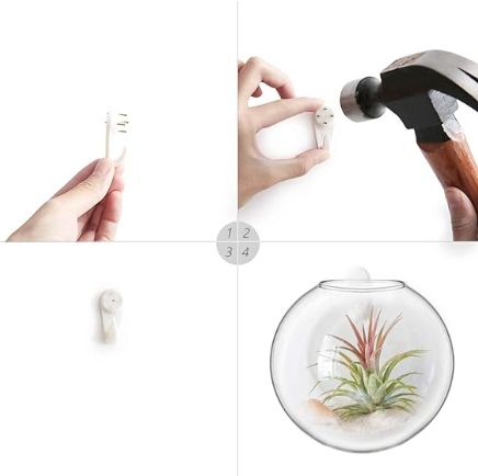 Glass Wall Propagation Bowl Set