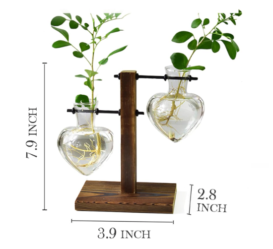 Heartleaf Propagation Stand