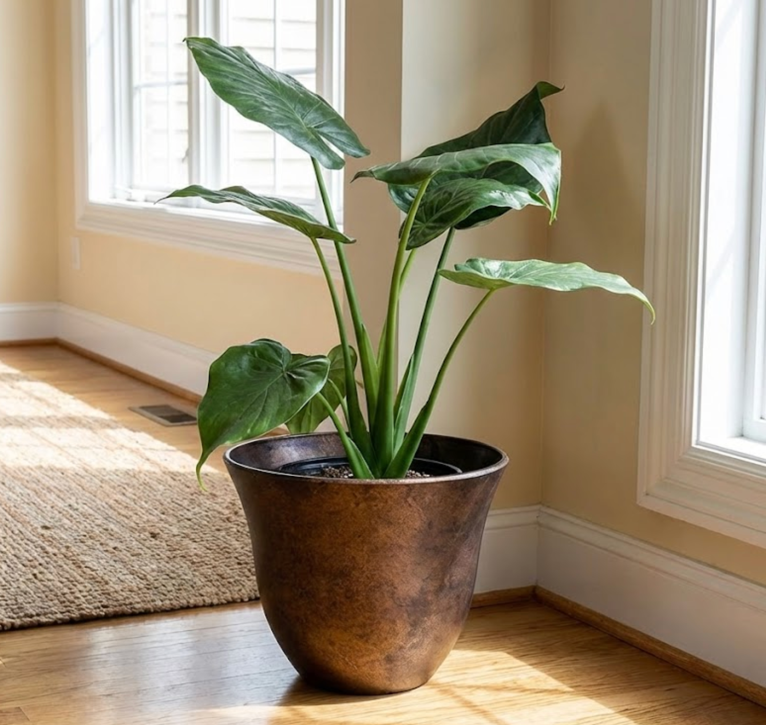 The Solis Flare Planter