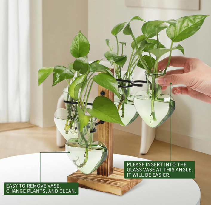 The Heart of Green Propagation Station