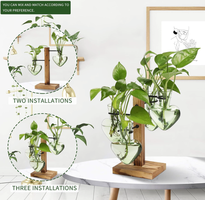 The Heart of Green Propagation Station