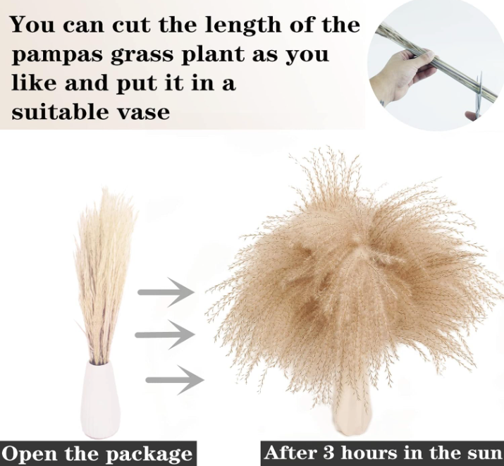 The Wild Meadow Dried Bouquet Set