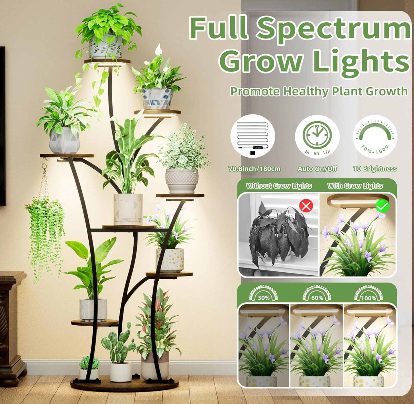 The Solstice Bloom Stand