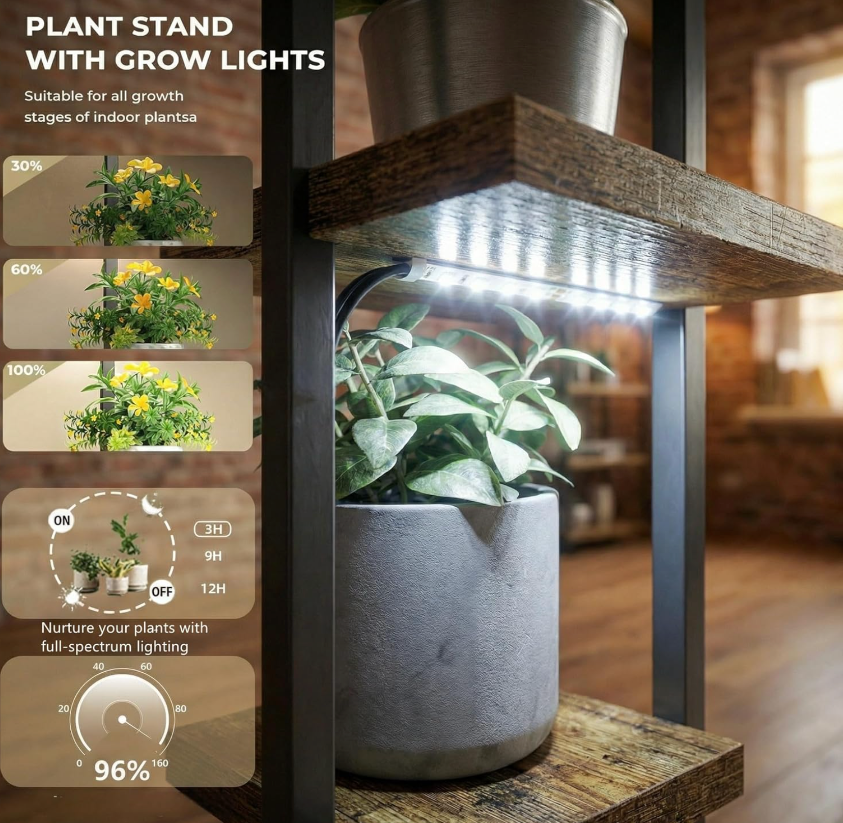 The Moonlit Grove Stand