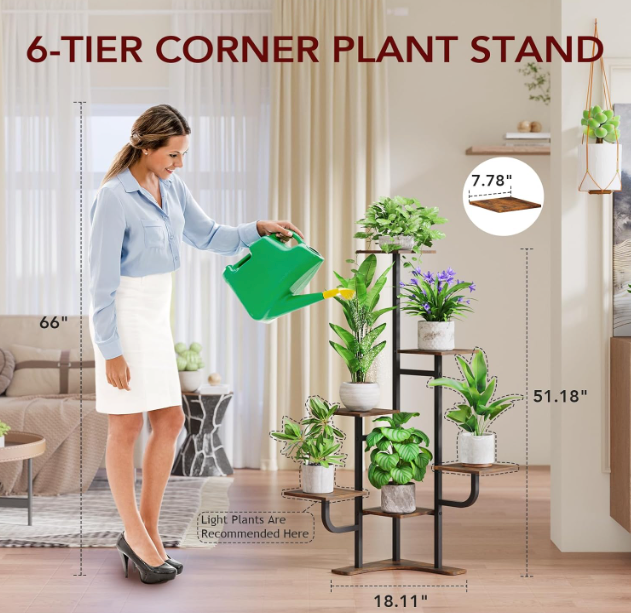 The Evergreen Haven Stand