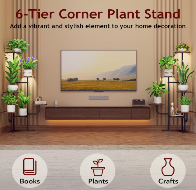 The Evergreen Haven Stand