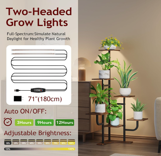 The Evergreen Haven Stand