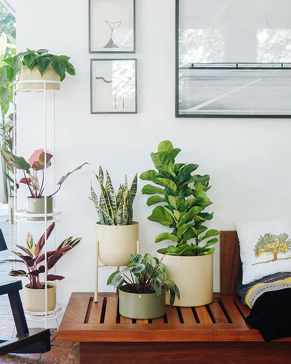 Cachepô alumínio cuia reto 25