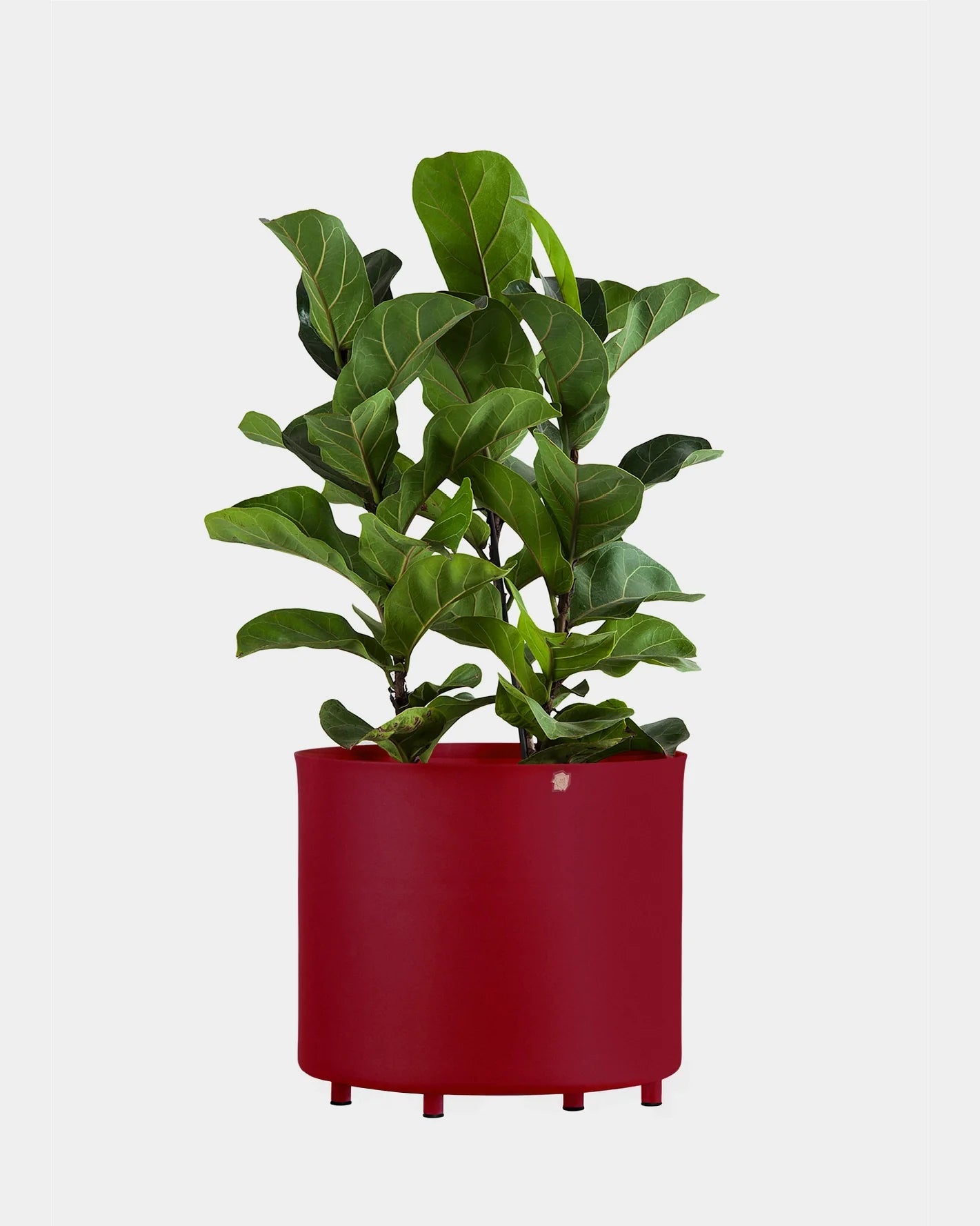 Vaso alumínio reto 33 com pé e furo na base - Sob encomenda