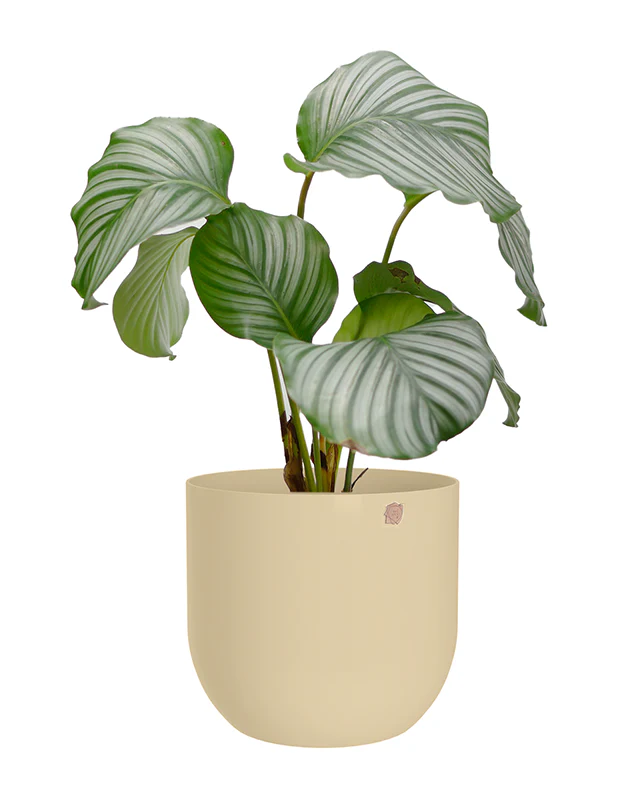 Cachepô alumínio arredondado 18