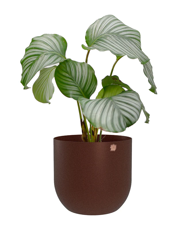 Cachepô alumínio arredondado 18