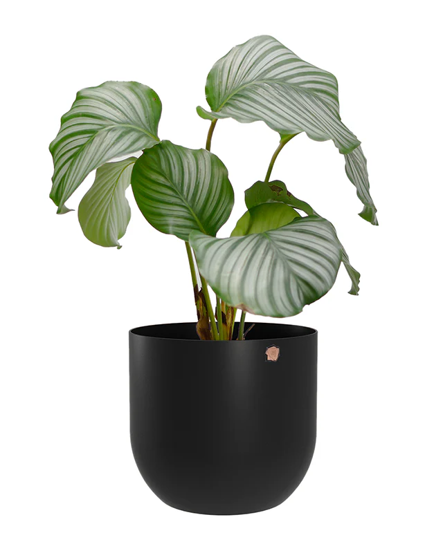 Cachepô alumínio arredondado 18