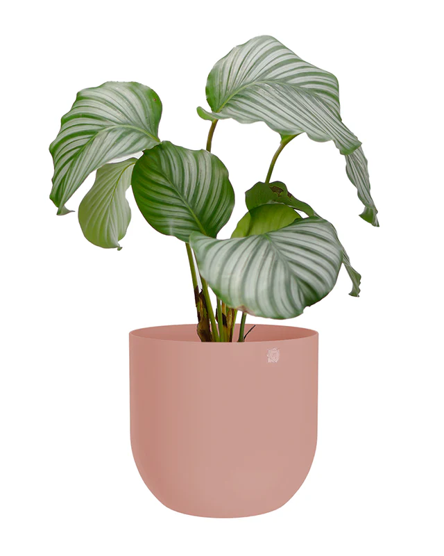 Cachepô alumínio arredondado 18