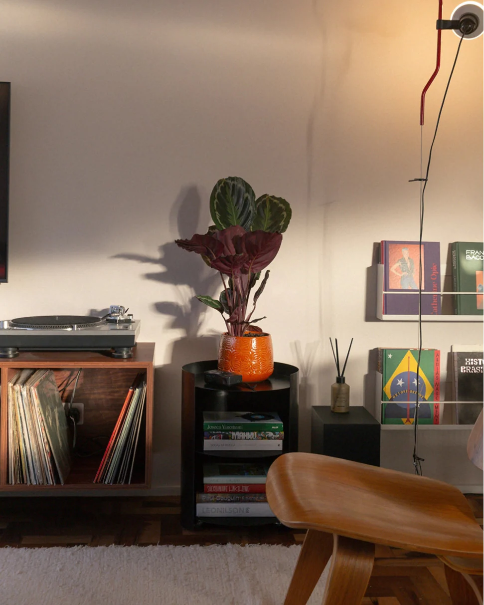 Carrinho Vitória-Régia