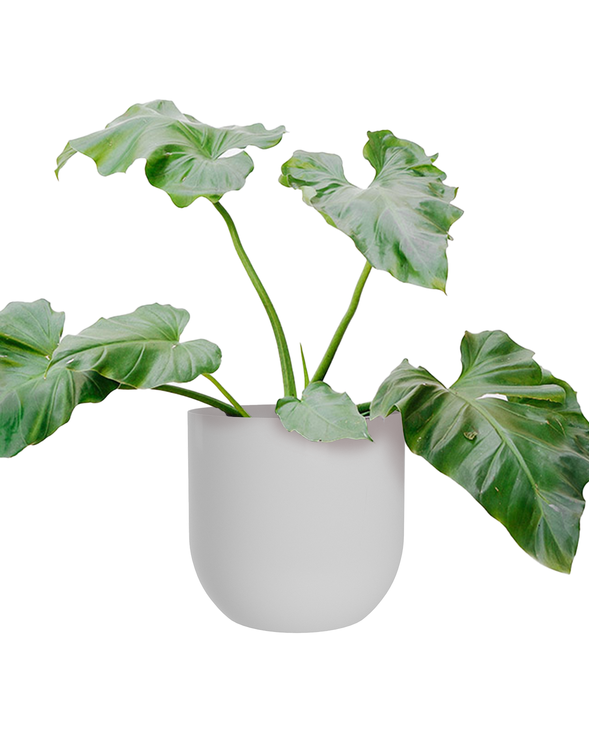 Cachepô alumínio arredondado 25