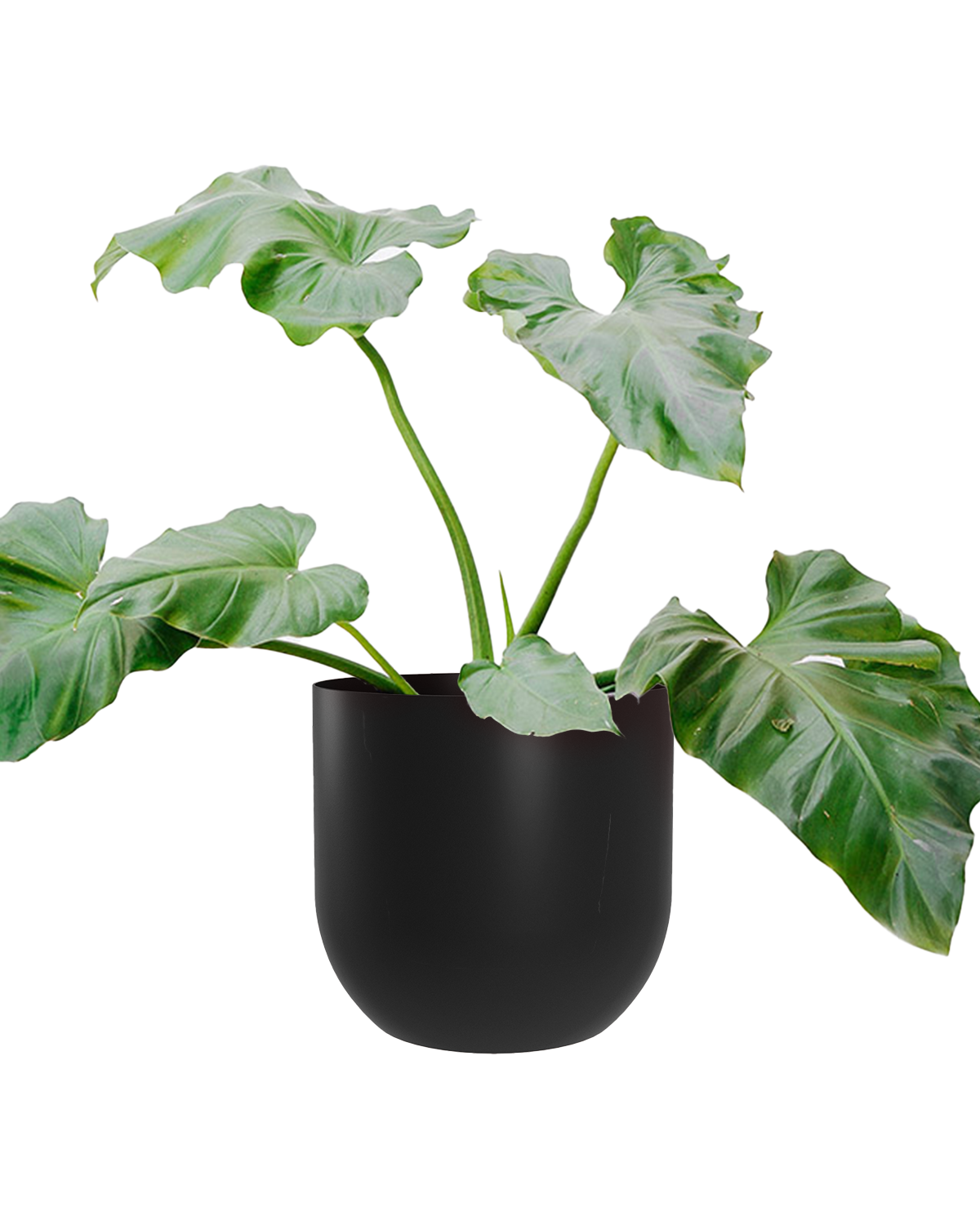 Cachepô alumínio arredondado 25