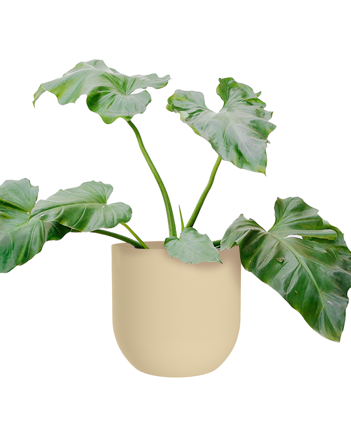 Cachepô alumínio arredondado 25