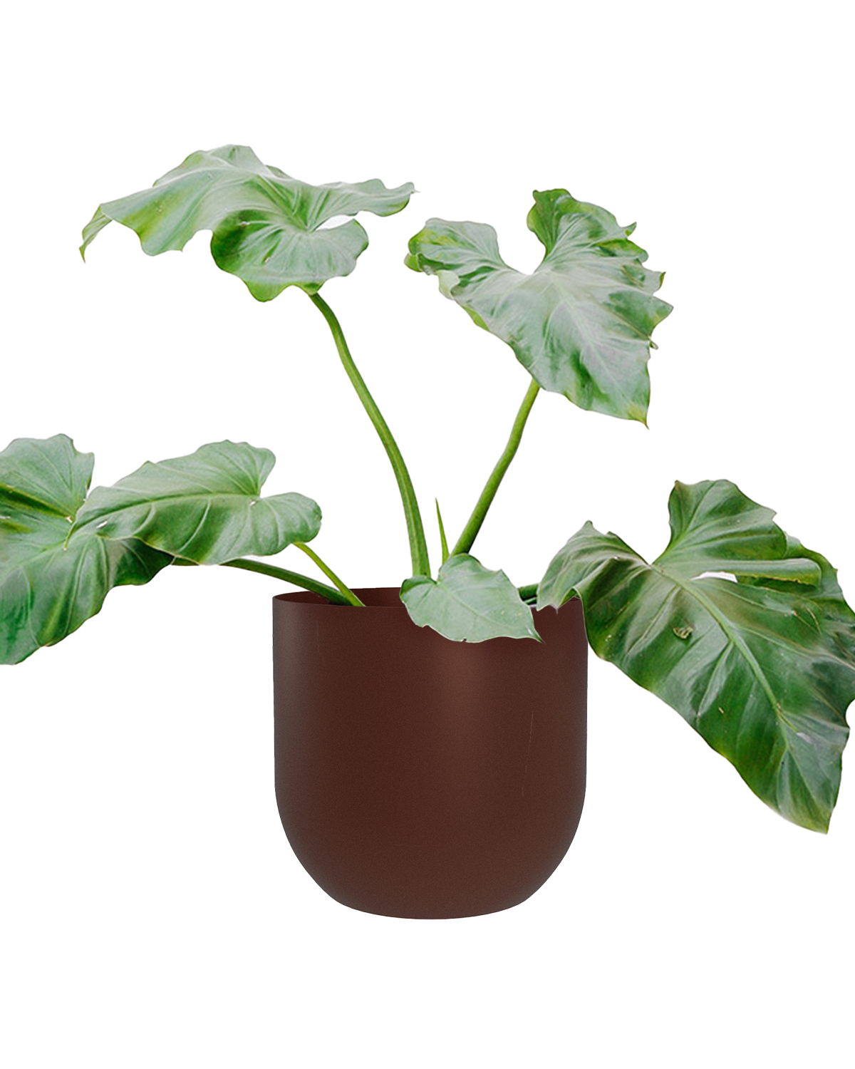 Cachepô alumínio arredondado 25