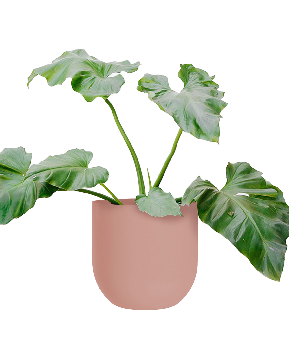 Cachepô alumínio arredondado 25