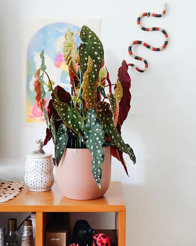 Cachepô alumínio arredondado 18