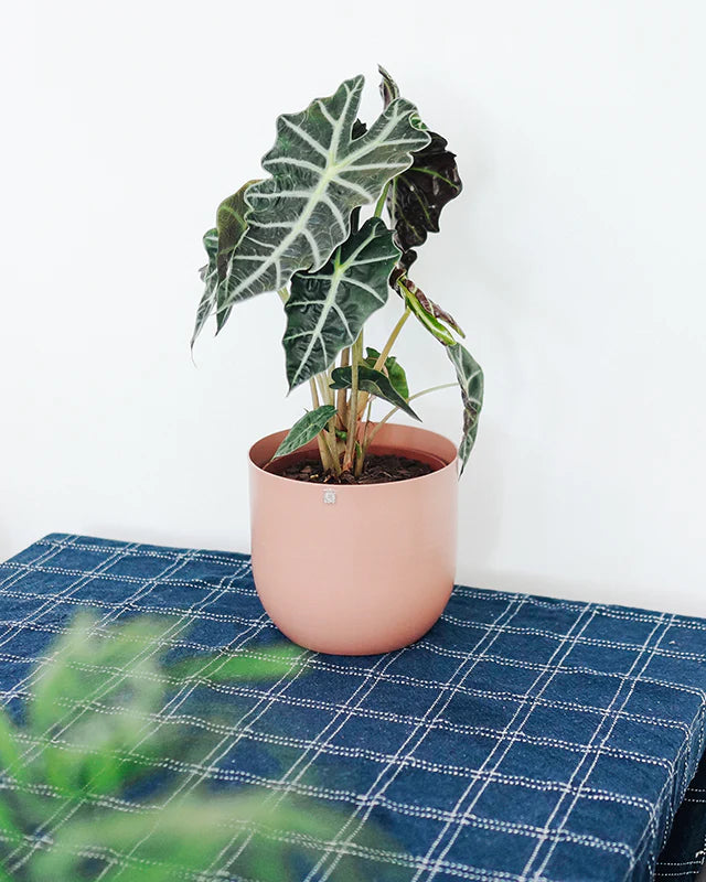 Cachepô alumínio arredondado 18