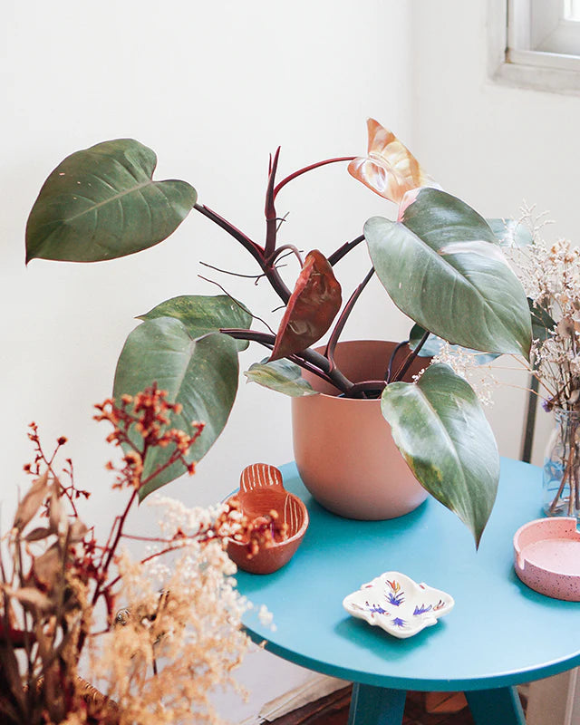 Cachepô alumínio arredondado 18