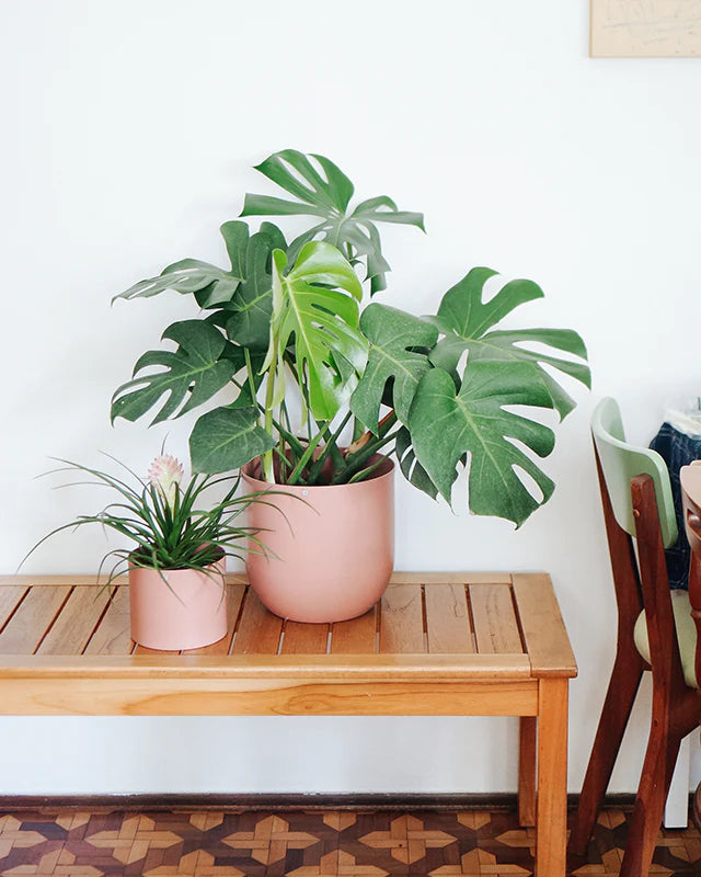 Cachepô alumínio arredondado 25