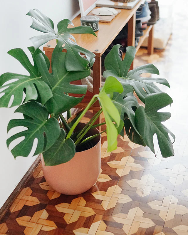 Cachepô alumínio arredondado 25