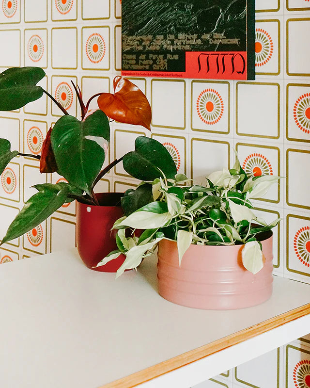 Cachepô alumínio cuia friso 25