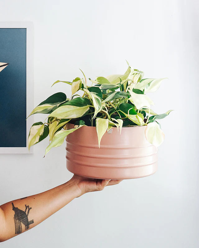 Cachepô alumínio cuia friso 25