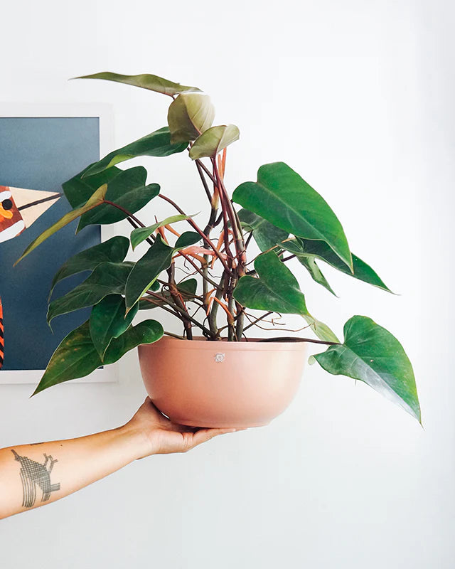 Cachepô alumínio cuia liso 25