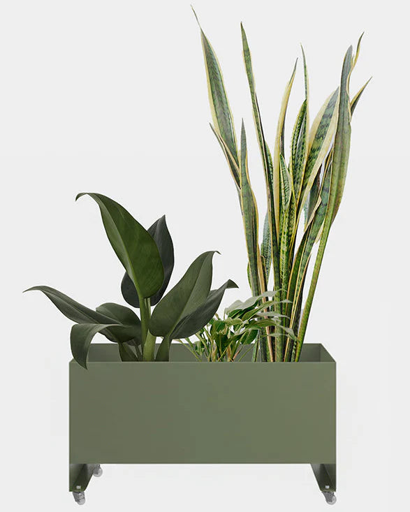 Jardineira Curió 33x76 - Sob encomenda