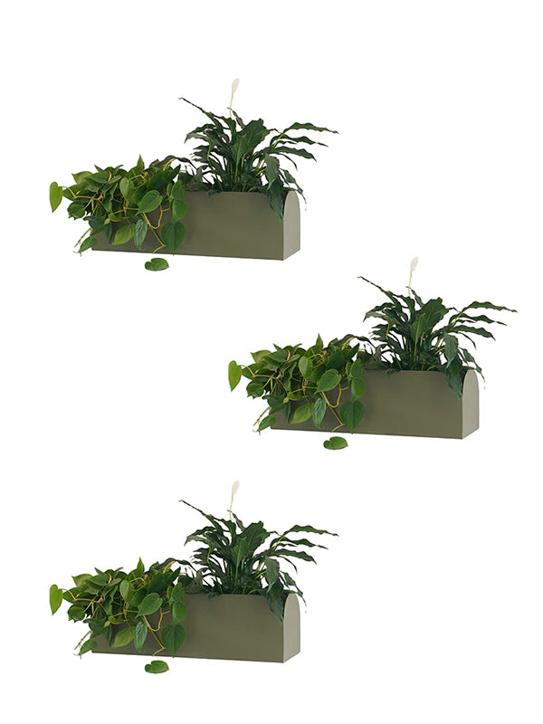 Conjunto de Jardineiras Pendurável Curió 18 (3 unid) - Sob Encomenda