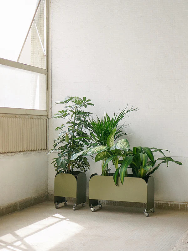 Jardineira Curió 25x25 - Sob encomenda