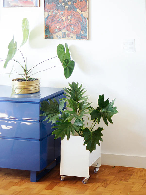 Jardineira Curió 25x25 - Sob encomenda