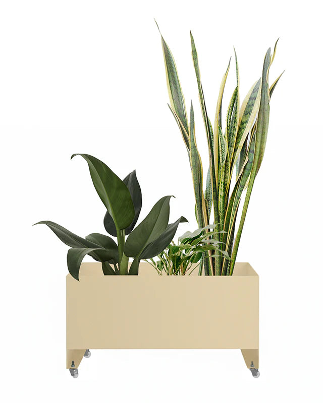 Jardineira Curió 33x76 - Sob encomenda