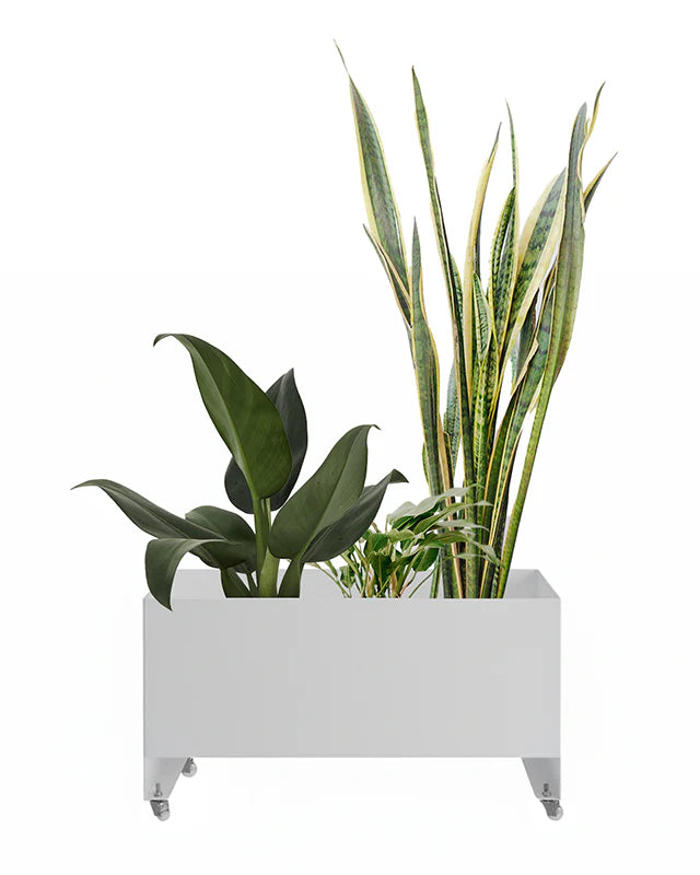 Jardineira Curió 33x76 - Sob encomenda